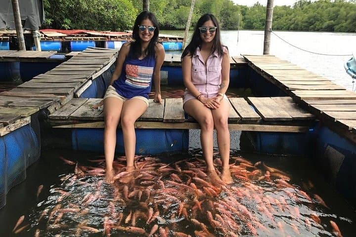 Bentota & Madu River Day Tour from Colombo — Boat Ride, Kothduwa Temple & Turtle Spotting photo 4