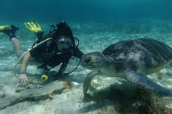 First-Time SCUBA Diving in Protaras — Intro Dive at Green Bay