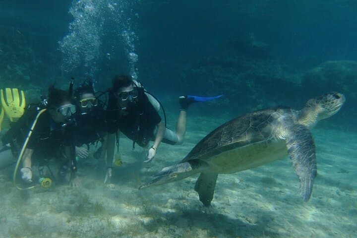 First-Time SCUBA Diving in Protaras — Intro Dive at Green Bay photo 2