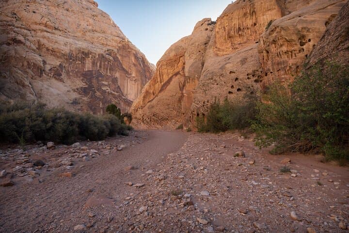 Capitol Reef Photography Tours: Sunrise, Sunset & Astro Workshops near Torrey UT photo 3