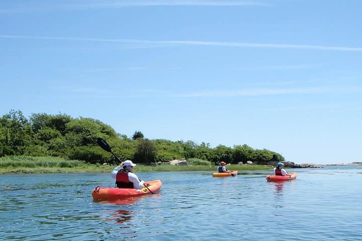 3-Hour Kayak & SUP Rental in Biddeford Pool — Paddle the Gut and Salt Marshes photo 1