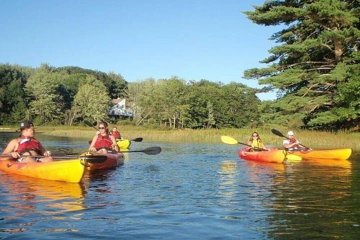3-Hour Kayak & SUP Rental in Biddeford Pool — Paddle the Gut and Salt Marshes photo 3