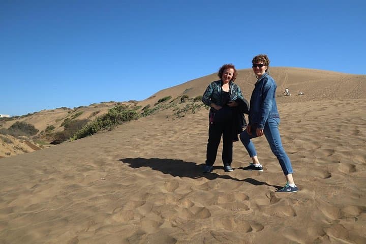 Concon Private Coastal Tour: Wildlife, Cliffs & Dunes Near Vina del Mar photo 2