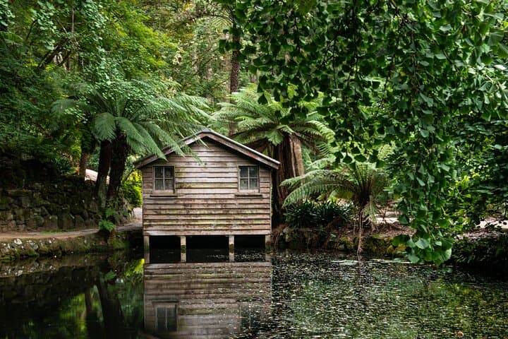 Private Dandenong Ranges Day Tour — Sherbrooke Forest, Alfred Nicholas & Olinda Gardens photo 3