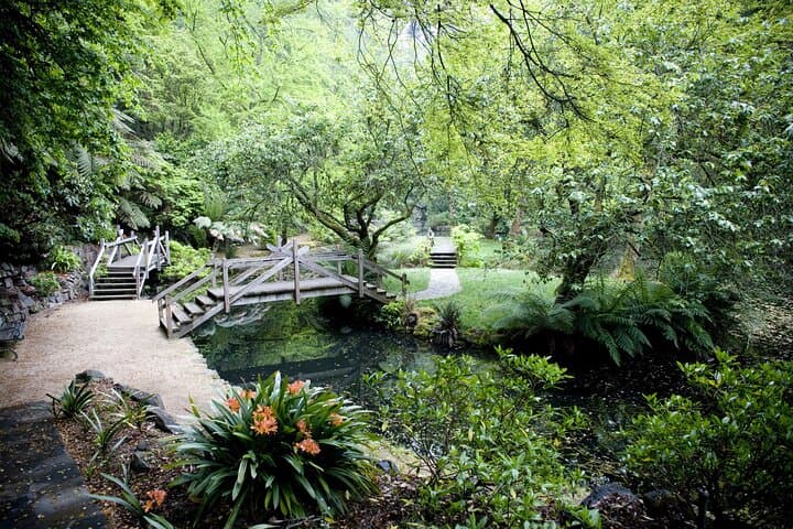 Private Dandenong Ranges Day Tour — Sherbrooke Forest, Alfred Nicholas & Olinda Gardens photo 4