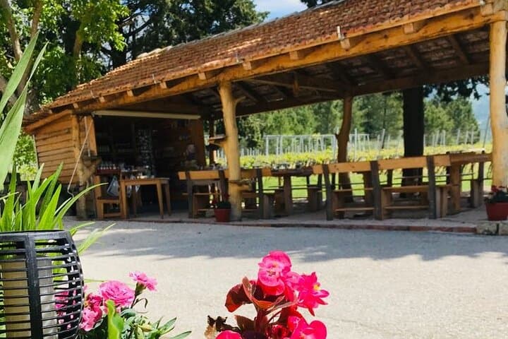 Konavle Valley Half-Day Wine & Food Tasting from Dubrovnik photo 5