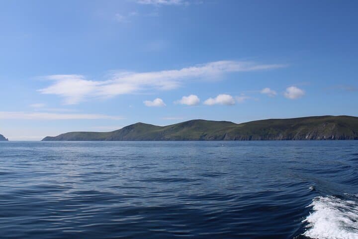 Dingle to the Great Blasket Islands: Dolphin & Wildlife Boat Tour from Dingle Bay photo 2