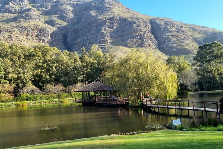 Stark-Condé & Tokara: Full-Day Wine Tasting Tour in the Stellenbosch Winelands photo 2
