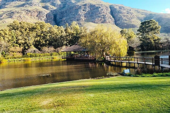 Stark-Condé & Tokara: Full-Day Wine Tasting Tour in the Stellenbosch Winelands photo 5
