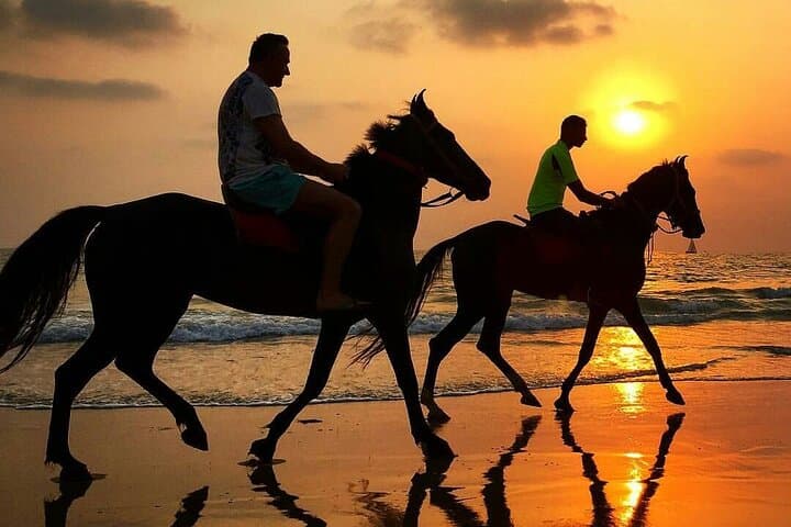 Sinai Horseback Ride to Blue Lagoon & Blue Hole — Dahab Horse Tours photo 4