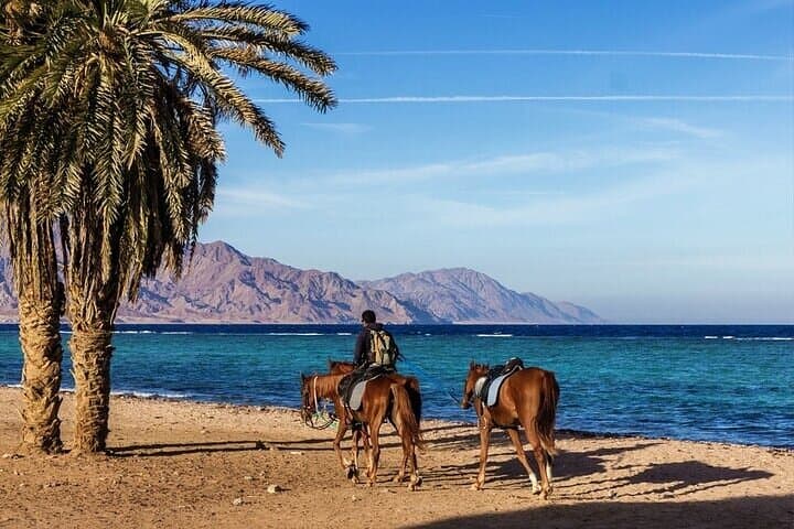 Sinai Horseback Ride to Blue Lagoon & Blue Hole — Dahab Horse Tours photo 6