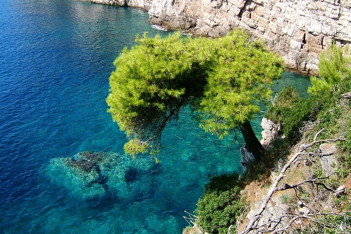 Elaphiti Islands Day Cruise from Dubrovnik: Lopud, Šipan & Koločep with Lunch photo 4
