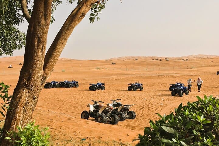 Dubai Sunset Desert Safari: 4x4 Dune Bashing, Camel Ride & BBQ Experience photo 3