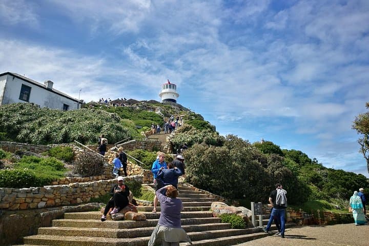 Best of the Cape: Full-Day Private Tour — Cape Point, Penguins & Winelands photo 2