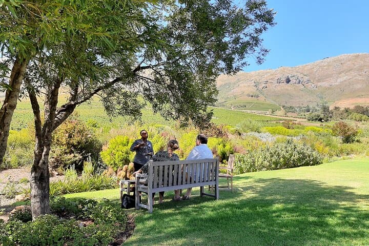 Meet the Winemakers: Private Wine Tour through Stellenbosch & Franschhoek photo 5