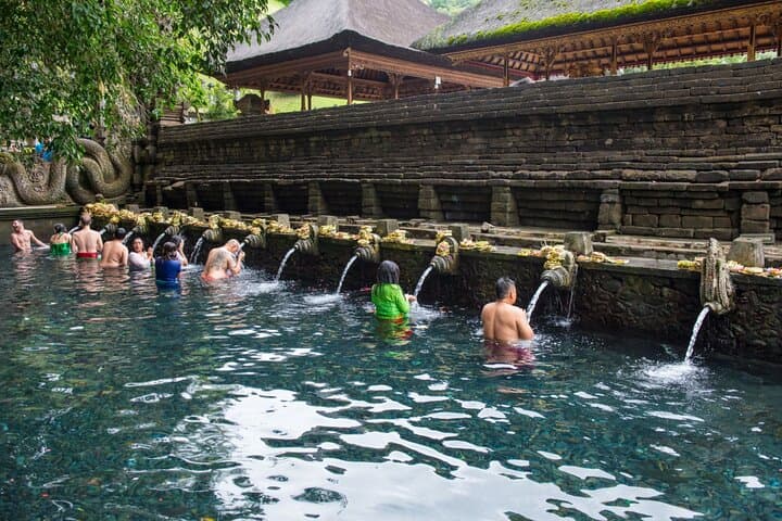 Custom Full-Day Bali Tour: Ubud, Temples, Waterfalls & Rice Terraces photo 5