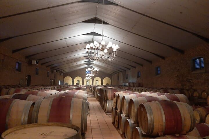 Meet the Winemakers: Private Wine Tour through Stellenbosch & Franschhoek photo 4