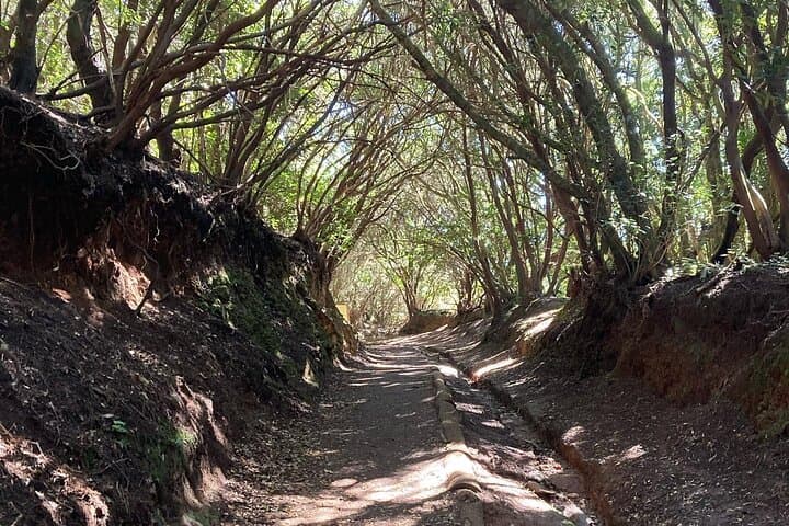 Anaga Private Tenerife Adventure: Mountains, Laurel Forests & Coastal Views (6‑Hour Tour) photo 2