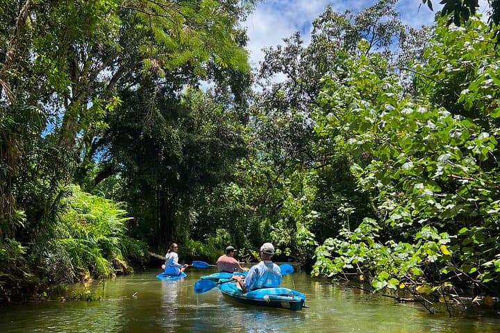 Kahana Bay River-to-Ocean Kayak & SUP Rental — Guide to Paddling the Rainforest to Reef photo 2