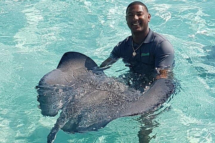 Private Stingray City Snorkel & Starfish Beach Full-Day Tour — Grand Cayman photo 3
