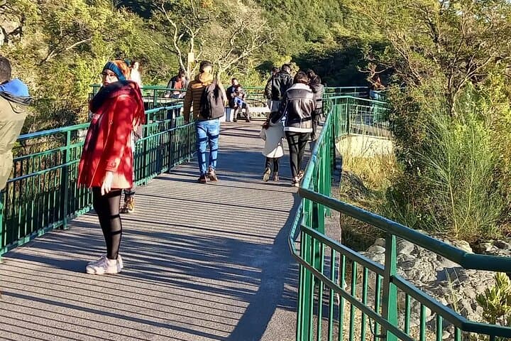Osorno Volcano and Petrohué Falls: Day Tour from Puerto Varas photo 2