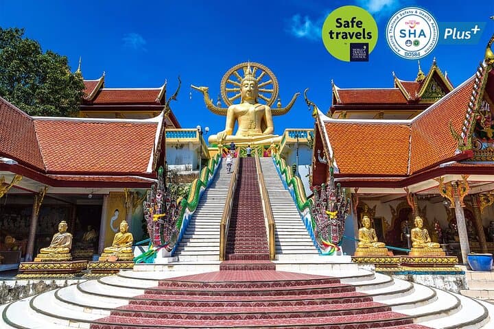 Half-Day Private Samui Island Tour: Big Buddha, Hin Ta Hin Yai & Na Mueang