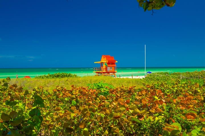 Miami Beach Art Deco Bike Tour: Hidden Gems, History & Scenic Coastal Ride photo 3