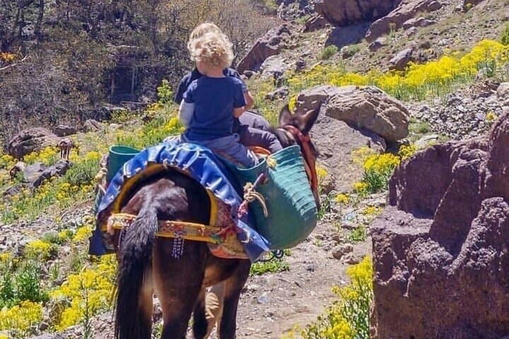 Private Day Trip to Berber Villages & Imlil Valley from Marrakech photo 2