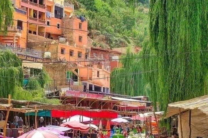Ourika Valley Day Trip from Marrakech — Waterfalls, Berber Villages & Camel Rides photo 3