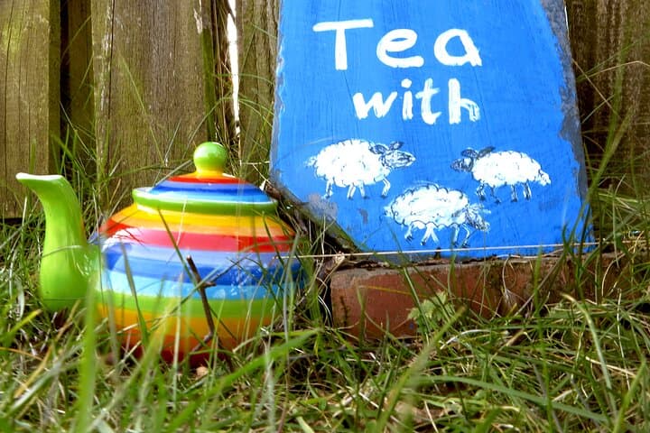 Tea with Naughty Sheep: Afternoon Tea and Herdwick Cuddles near Gartmore photo 5