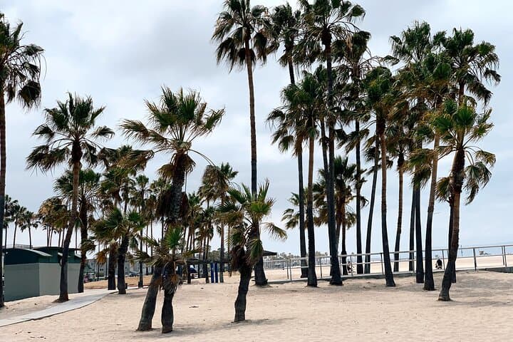 Coast-to-Culture LA Bike Adventure: Santa Monica, Venice & Beverly Hills photo 3