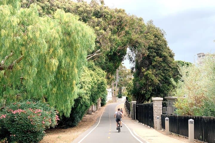 Coast-to-Culture LA Bike Adventure: Santa Monica, Venice & Beverly Hills photo 4