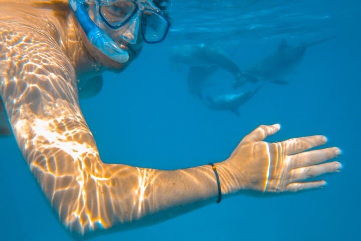 Wasini Island Full-Day Snorkel Safari — Coral Gardens, Dolphins & Slave Caves