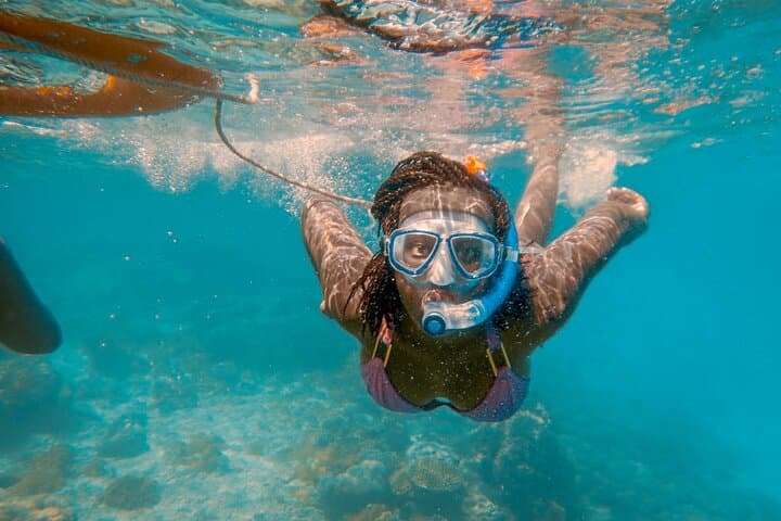 Wasini Island Full-Day Snorkel Safari — Coral Gardens, Dolphins & Slave Caves photo 3