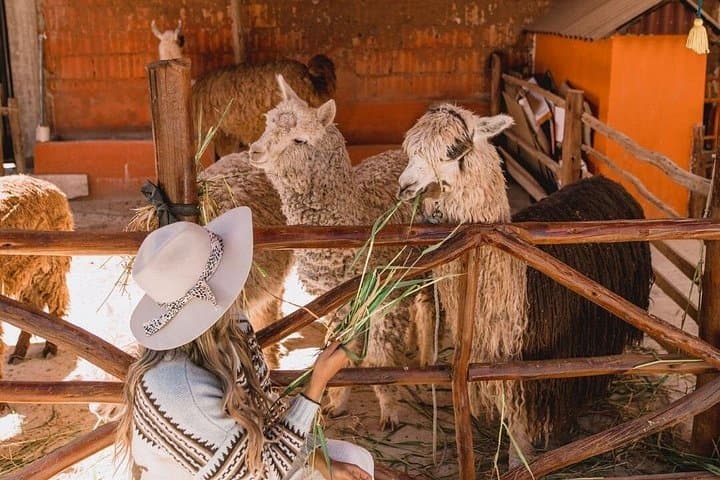 Sacred Valley Full-Day Tour: Chinchero, Maras, Moray & Ollantaytambo photo 3