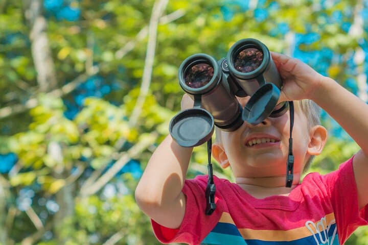 Arenal Sloth Observation Tour — Day and Night Wildlife Walk in La Fortuna photo 4
