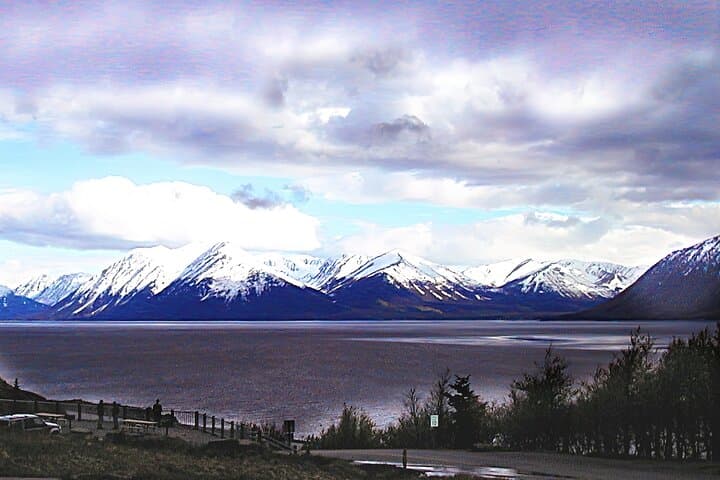 Private Half-Day Nature Tour: Turnagain Arm & Alaska Wildlife Conservation Center photo 5