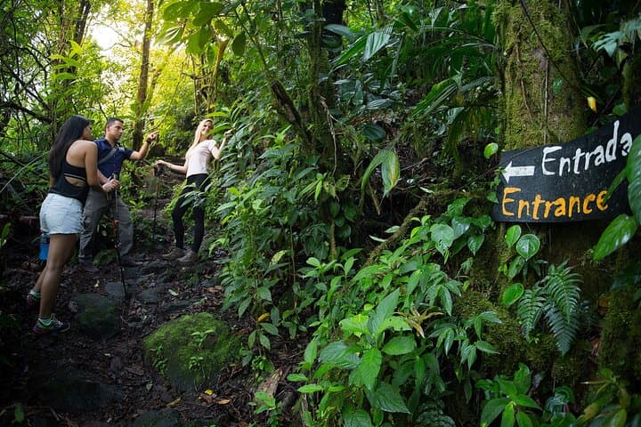 Arenal Volcano Hike to El Silencio Reserve: Close-Up Viewpoint & Rainforest Walk photo 2