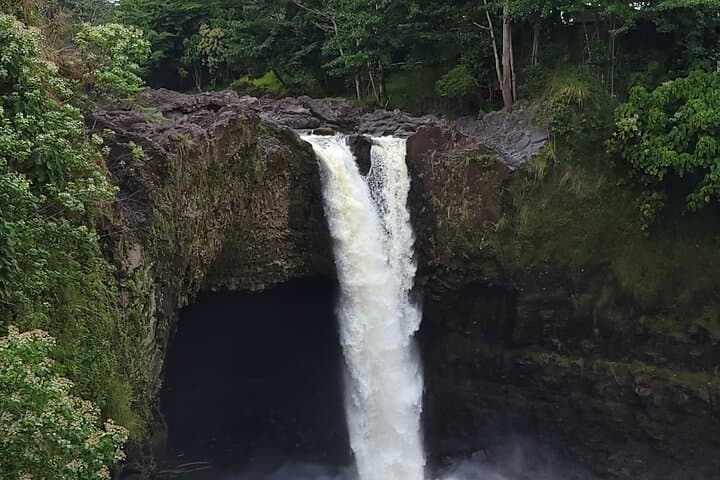 Exploring the Majestic Waterfalls of Hawaii’s Hamakua Coast: A Scenic 3–4 Hour Adventure photo 5