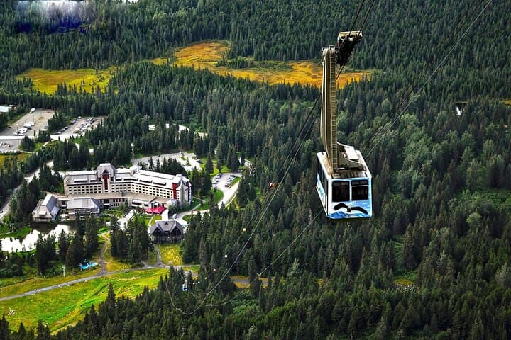 Ultimate Anchorage and Turnagain Arm Private Day Tour: Tram, Wildlife & Coastal Views photo 4