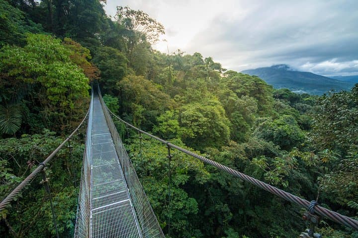 Arenal Hanging Bridges: Mistico Park Canopy Walk from La Fortuna photo 2