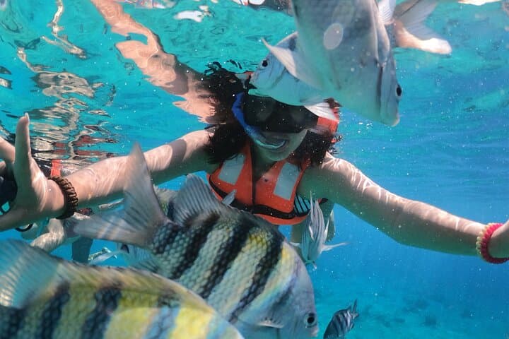 Clear-Boat Snorkel Cruise Cozumel: Transparent Boat, Reef Swim & Drinks photo 4