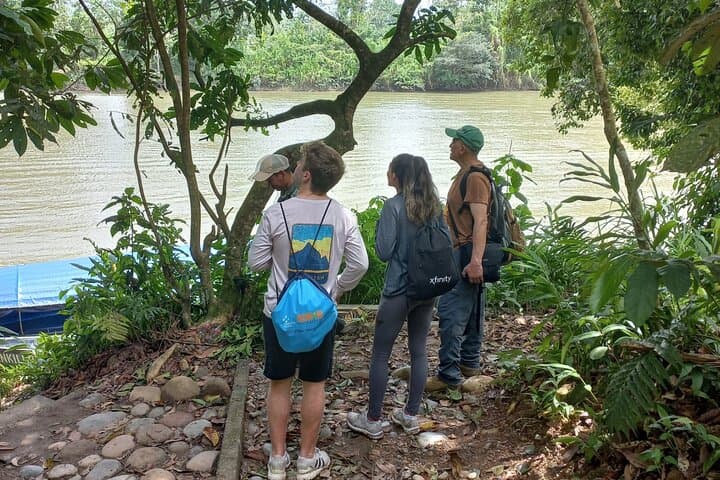 Andes to Amazon: 4-Day Ecuador Adventure with Papallacta Hot Springs and Amazon Lodge photo 3