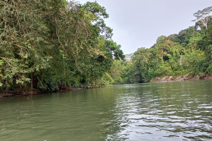 Andes to Amazon: 4-Day Ecuador Adventure with Papallacta Hot Springs and Amazon Lodge photo 5