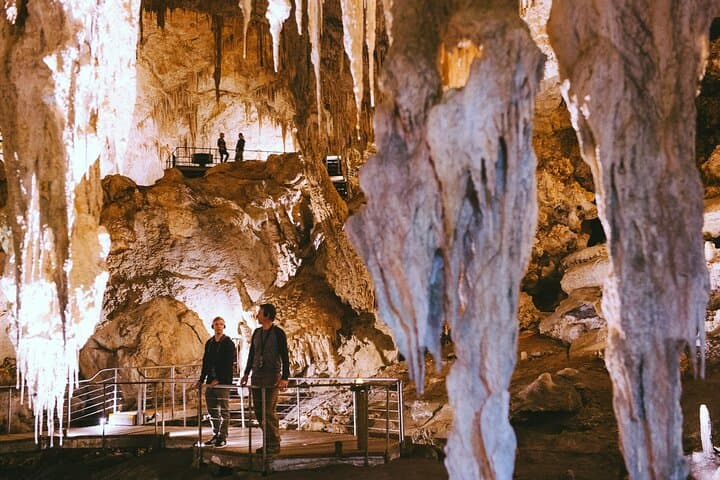 Mammoth Cave Self-Guided Audio Tour — Explore Margaret River's Karri Forest Cavern photo 4