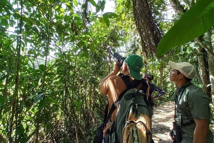 Andes to Amazon: 4-Day Ecuador Adventure with Papallacta Hot Springs and Amazon Lodge photo 6