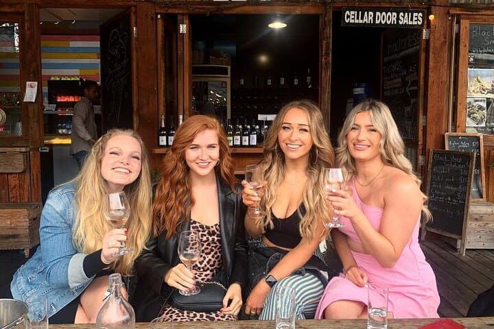 Waves, Waterfalls & Wineries: Southern Highlands Full-Day Private Tour from Sydney