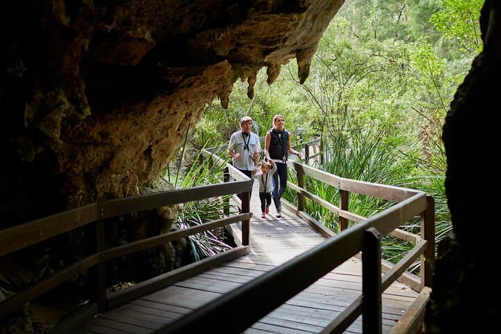 Mammoth Cave Self-Guided Audio Tour — Explore Margaret River's Karri Forest Cavern photo 2