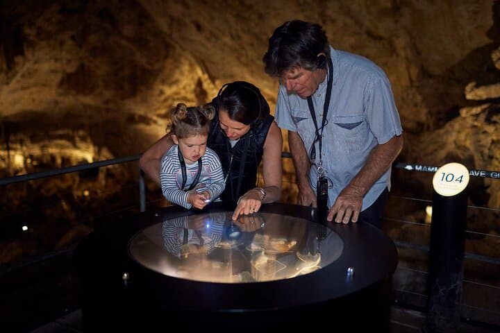 Mammoth Cave Self-Guided Audio Tour — Explore Margaret River's Karri Forest Cavern photo 5