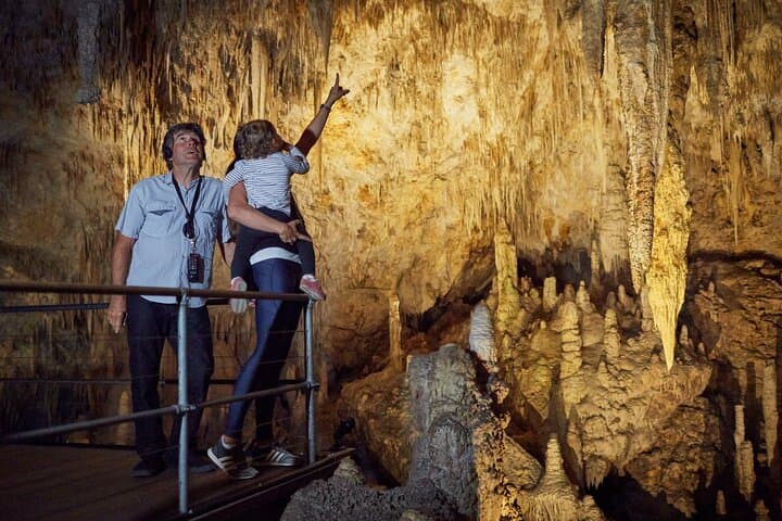 Mammoth Cave Self-Guided Audio Tour — Explore Margaret River's Karri Forest Cavern photo 3